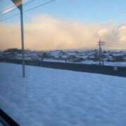 ヒメ日記 2025/02/09 18:08 投稿 つばさ チューリップ福井本館