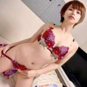 ヒメ日記 2025/03/10 16:24 投稿 つばさ チューリップ福井本館