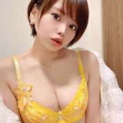 ヒメ日記 2025/04/11 09:24 投稿 つばさ チューリップ福井本館