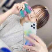 ヒメ日記 2025/04/16 02:54 投稿 つばさ チューリップ福井本館