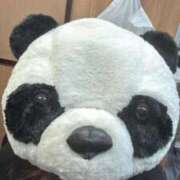 ヒメ日記 2026/01/29 23:17 投稿 なるみ 密着指導！バカンス学園 尼崎校