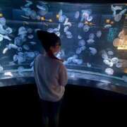 ヒメ日記 2026/03/19 19:13 投稿 なるみ 密着指導！バカンス学園 尼崎校