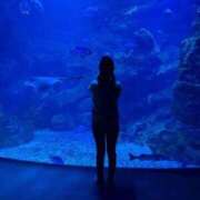 ヒメ日記 2026/04/03 04:43 投稿 なるみ 密着指導！バカンス学園 尼崎校