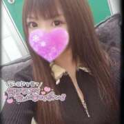 ヒメ日記 2025/02/26 05:36 投稿 ゆず 変態なんでも鑑定団