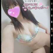 ヒメ日記 2025/06/12 12:18 投稿 ゆず 変態なんでも鑑定団