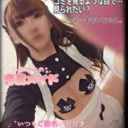 ヒメ日記 2025/08/13 11:46 投稿 ゆず 変態なんでも鑑定団