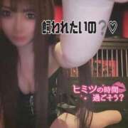 ヒメ日記 2026/02/07 20:06 投稿 ゆず 変態なんでも鑑定団