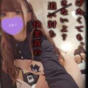 ヒメ日記 2026/02/20 19:17 投稿 ゆず 変態なんでも鑑定団