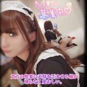 ヒメ日記 2026/04/13 00:46 投稿 ゆず 変態なんでも鑑定団
