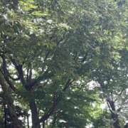 ヒメ日記 2025/07/14 18:02 投稿 向井ゆい AJ DOLLS(エージェイドールズ)