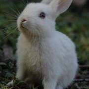 ヒメ日記 2025/07/20 21:52 投稿 向井ゆい AJ DOLLS(エージェイドールズ)