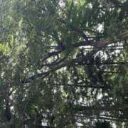 ヒメ日記 2025/10/28 14:02 投稿 向井ゆい AJ DOLLS(エージェイドールズ)