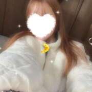 ヒメ日記 2026/03/07 19:12 投稿 向井ゆい AJ DOLLS(エージェイドールズ)