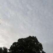 ヒメ日記 2025/10/18 05:45 投稿 ひより 栃木宇都宮ちゃんこ