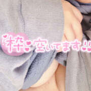 ヒメ日記 2025/11/12 20:35 投稿 ひより 栃木宇都宮ちゃんこ