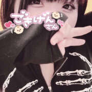 ヒメ日記 2025/11/19 10:05 投稿 ひより 栃木宇都宮ちゃんこ