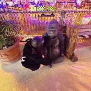 ヒメ日記 2025/12/14 22:27 投稿 ひより 栃木宇都宮ちゃんこ