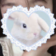 ヒメ日記 2025/02/19 13:57 投稿 わかな ハピネス東京