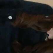 ヒメ日記 2025/02/09 21:31 投稿 りりか 千葉サンキュー