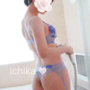 ヒメ日記 2025/02/24 18:19 投稿 蓮水 一花 バルボラ マリン