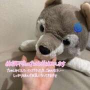 ヒメ日記 2025/03/23 10:20 投稿 ゆきね 京都出張メンズエステChou Chou（シュシュ)