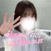 ヒメ日記 2025/03/31 19:40 投稿 ゆきね 京都出張メンズエステChou Chou（シュシュ)