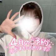 ヒメ日記 2025/04/01 13:40 投稿 ゆきね 京都出張メンズエステChou Chou（シュシュ)