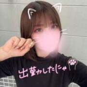ヒメ日記 2025/04/03 14:10 投稿 ゆきね 京都出張メンズエステChou Chou（シュシュ)