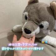 ヒメ日記 2025/04/08 10:00 投稿 ゆきね 京都出張メンズエステChou Chou（シュシュ)