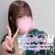 ヒメ日記 2025/04/09 14:23 投稿 ゆきね 京都出張メンズエステChou Chou（シュシュ)