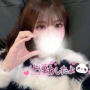 ヒメ日記 2025/04/16 15:19 投稿 ゆきね 京都出張メンズエステChou Chou（シュシュ)