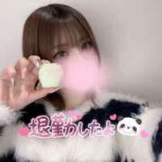 ヒメ日記 2025/04/17 00:05 投稿 ゆきね 京都出張メンズエステChou Chou（シュシュ)