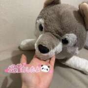 ヒメ日記 2025/05/12 00:20 投稿 ゆきね 京都出張メンズエステChou Chou（シュシュ)