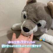 ヒメ日記 2025/05/20 10:50 投稿 ゆきね 京都出張メンズエステChou Chou（シュシュ)