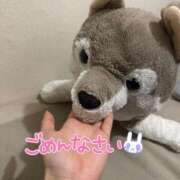 ヒメ日記 2025/06/12 22:20 投稿 ゆきね 京都出張メンズエステChou Chou（シュシュ)