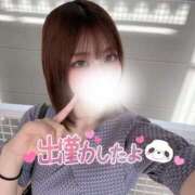 ヒメ日記 2025/06/25 16:26 投稿 ゆきね 京都出張メンズエステChou Chou（シュシュ)