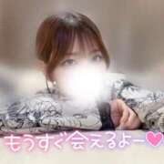 ヒメ日記 2025/11/20 13:30 投稿 ゆきね 京都出張メンズエステChou Chou（シュシュ)