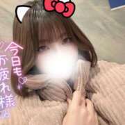 ヒメ日記 2026/02/17 19:00 投稿 ゆきね 京都出張メンズエステChou Chou（シュシュ)