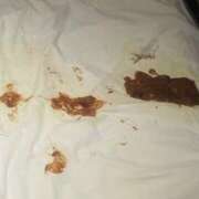 ヒメ日記 2025/02/11 18:37 投稿 妾～みだり ドMな奥さん 日本橋店