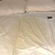 ヒメ日記 2025/04/29 14:57 投稿 妾～みだり ドMな奥さん 日本橋店