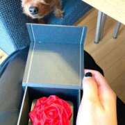 ヒメ日記 2026/02/14 11:30 投稿 妾～みだり ドMな奥さん 日本橋店