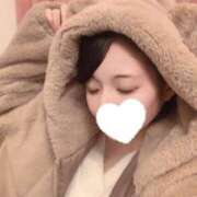 ヒメ日記 2025/02/19 10:25 投稿 ねお ホワイトハウス