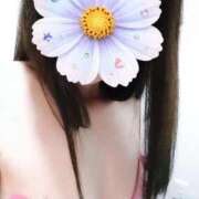 ヒメ日記 2026/09/22 11:31 投稿 岡崎えり マダム撫子(なでしこ)～麗しの楽園ソープ～