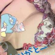 ヒメ日記 2026/05/14 23:11 投稿 酒井まお マダム撫子(なでしこ)～麗しの楽園ソープ～