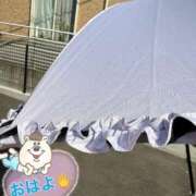 ヒメ日記 2026/05/15 09:20 投稿 酒井まお マダム撫子(なでしこ)～麗しの楽園ソープ～