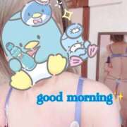 ヒメ日記 2026/05/26 10:58 投稿 酒井まお マダム撫子(なでしこ)～麗しの楽園ソープ～
