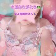 ヒメ日記 2026/07/01 09:51 投稿 酒井まお マダム撫子(なでしこ)～麗しの楽園ソープ～