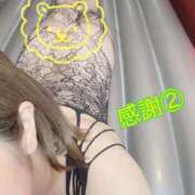 ヒメ日記 2026/08/09 08:51 投稿 酒井まお マダム撫子(なでしこ)～麗しの楽園ソープ～