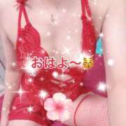 ヒメ日記 2026/08/18 09:51 投稿 酒井まお マダム撫子(なでしこ)～麗しの楽園ソープ～