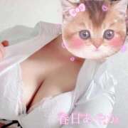 ヒメ日記 2026/08/01 22:55 投稿 春日あやか マダム撫子(なでしこ)～麗しの楽園ソープ～